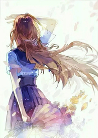 南方有乔